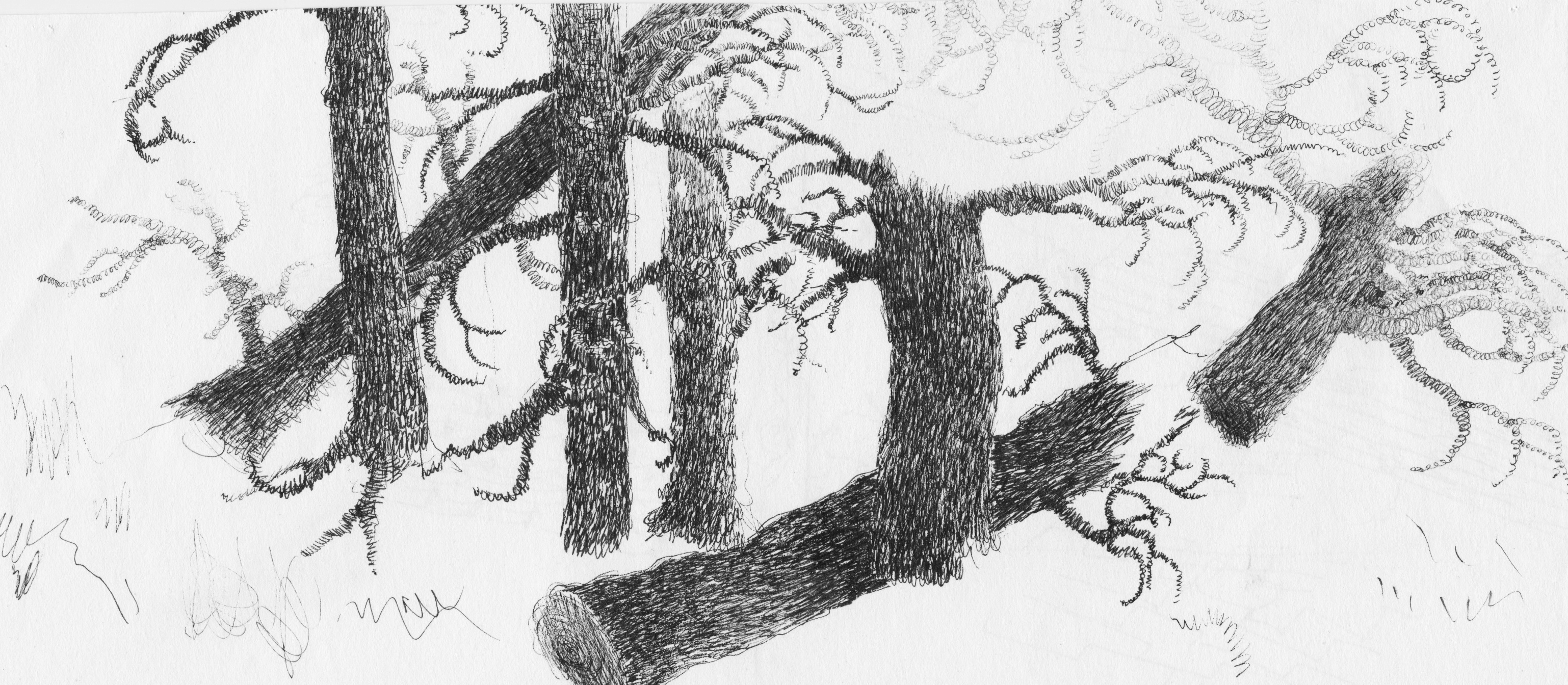 Untitled_Sketch