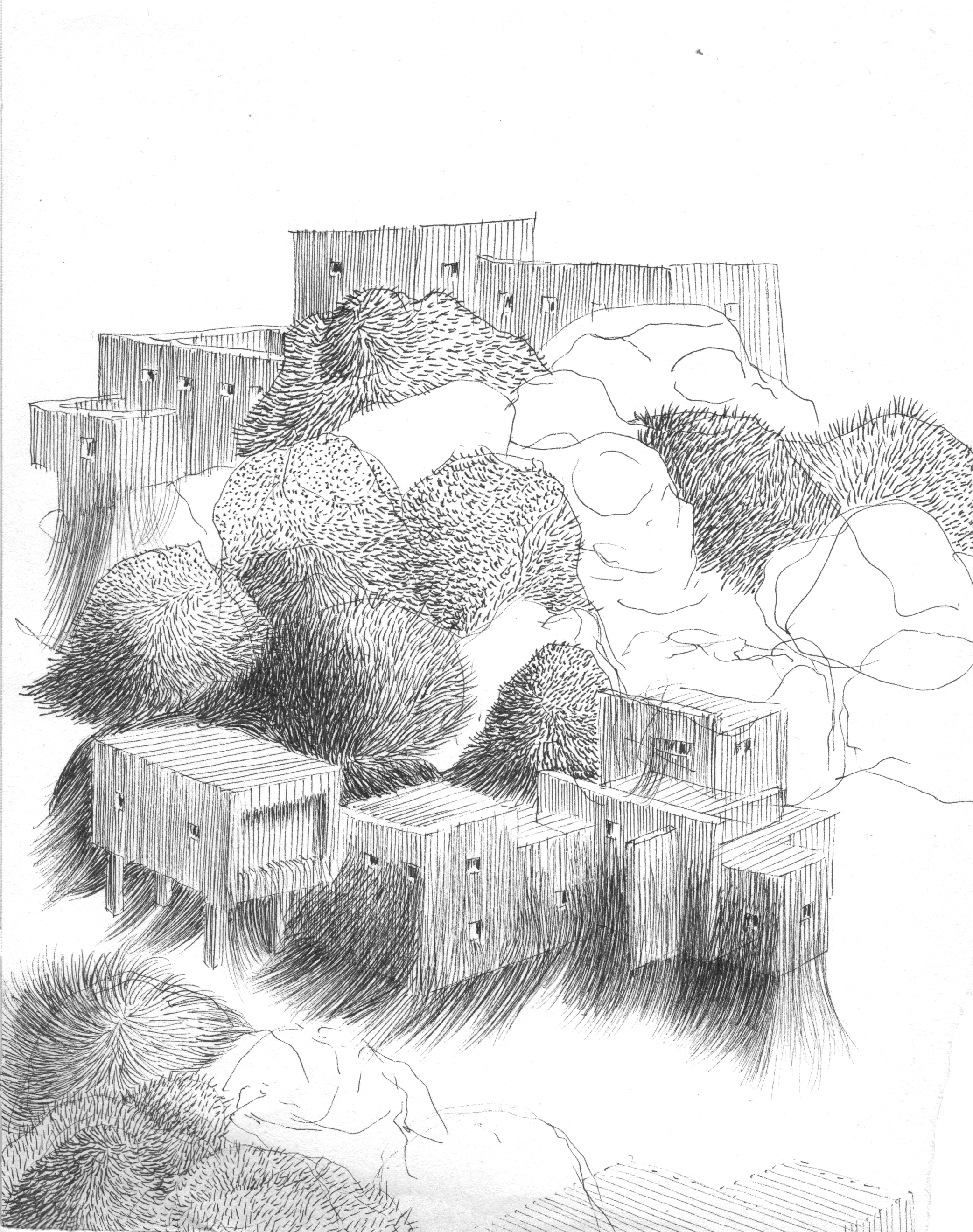 Untitled_Sketch